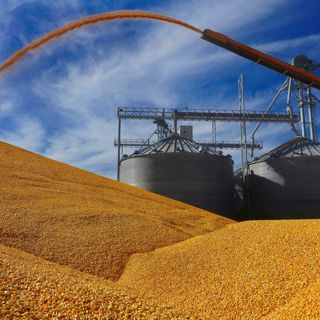 The Reality of Being An American Farmer Right Now