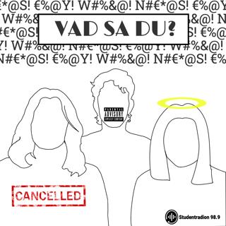 Vad sa du?