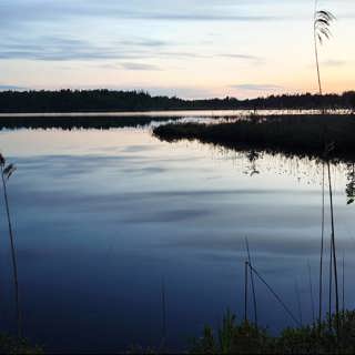 Naturljud i natten och en godisbilslav i fjällen