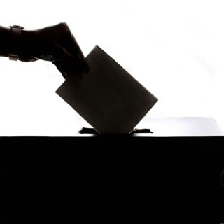 Perfectionism and Polling