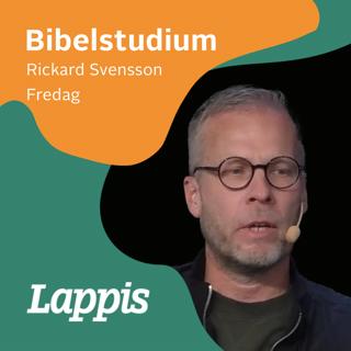 Bibelstudium 5 juli | Lappis 2024