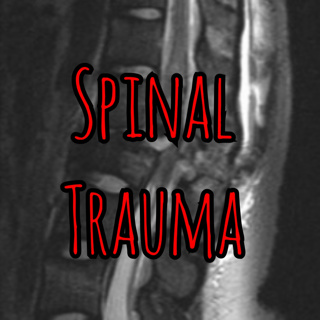 Prolonged Field Care Podcast 204: Spinal Trauma
