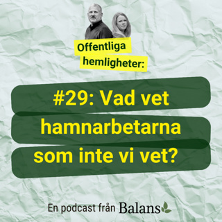 #29: Vad vet hamnarbetarna som inte vi vet? Aktivistsnack med Peter Annerback, Hamnfyran