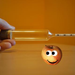 384: Beginner Cider-Making Tips for Primary Fermentation