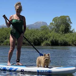 Taking your PET to Yellowstone Park? Here is what you need to know.