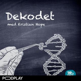 #12 - Fremtidsmennesket dekodet, med Sigrid Bratlie