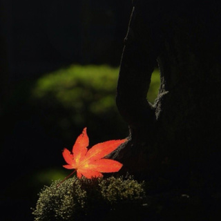 सुगति वा दुर्गति