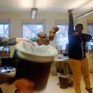 Bajsbasket