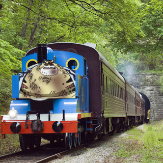 Our Journey through Ep 250-252
