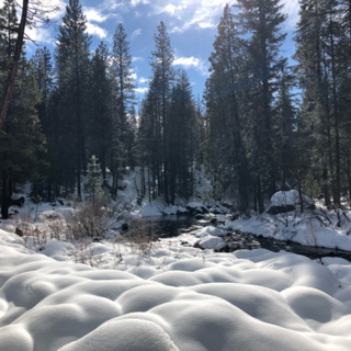 Bonus! Snowshoeing on the McCloud River Trail