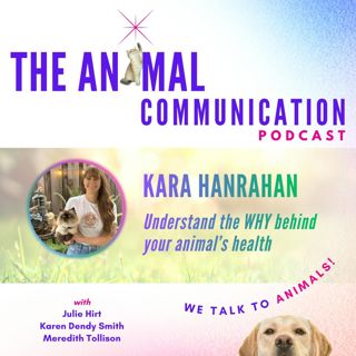 The WHY Behind Your Pet’s Health with Kara Hanrahan
