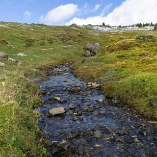 😴💧🎵 SLEEP Quickly with the Relaxing Sound of a STREAM and Soft MUSIC