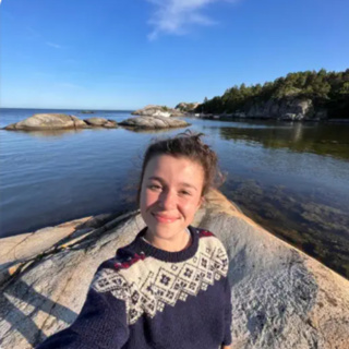 Hvordan lære norsk grammatikk med Norwegian with Ilys