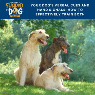 Your Dog's Verbal Cues And Hand Signals: How To Effectively Train Both #113