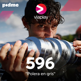 596. "Polera en gris"