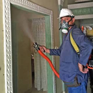 Kampen mot mördarmyggan Aedes aegypti