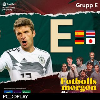 VM-guide: Grupp E