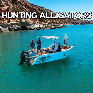Hunting Alligators and Vanlife In America - TraveVlogUpdate - Florida To Karratha