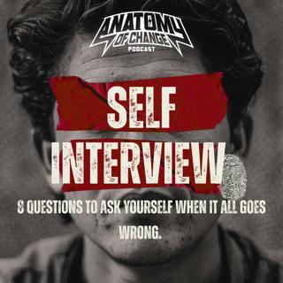 8 questions to ask yourself when it all goes wrong. Self Interview with Seth