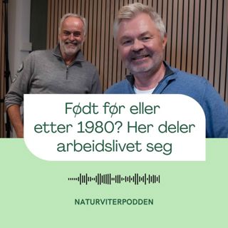 Født før eller etter 1980?: Her deler arbeidslivet seg