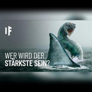 Wer kann den Megalodon besiegen?