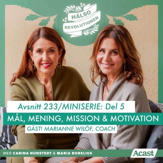 AVSNITT 233/HÖSTBOOST! MINISERIE DEL 5: MÅL, MENING, MISSION OCH MOTIVATION