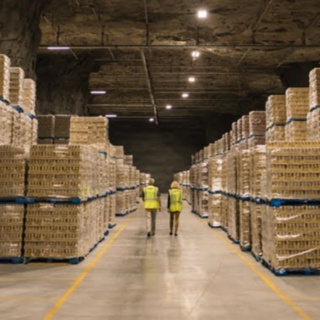 The Cheese Caves