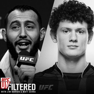 Dominick Reyes, Chase Hooper, UFC 314 picks