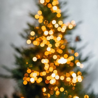 Episode 232: The Rouse Simmons (a.k.a. "The Christmas Tree Ship")