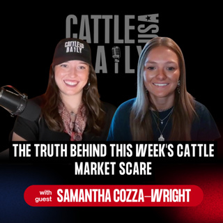 382: The Truth Behind This Week's Cattle Market Scare with Samantha Cozza-Wright