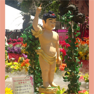 Life of Shakyamuni Buddha Part 1: Source Texts, and Birth Through Homeleaving