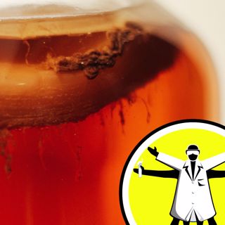 Fermented food: tasty myth or healthy option?