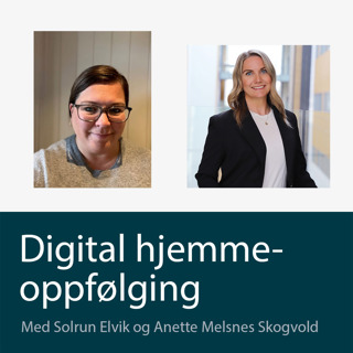 Integrerte helsetjenester til eldre: Erfaringer fra Ahus og kommuner og veien videre i sør-øst