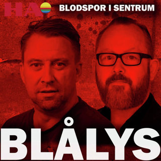 Blodspor i Hamar sentrum - dette vet vi
