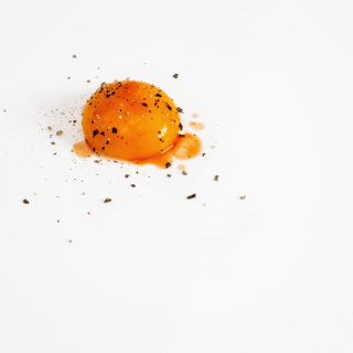Episode 362: An Odd-Sized Egg w/ Jack Schramm