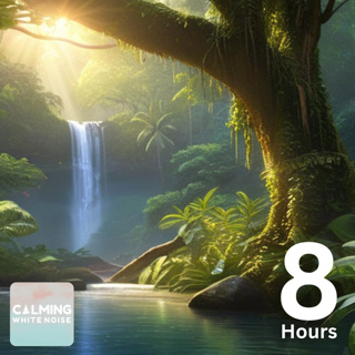 Rainforest Sounds for Anxiety and Stress Relief (8 Hours) | Relaxing Nature Sounds