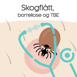Skogflått, borreliose og TBE
