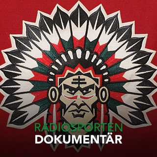 Indianer och björnar - När Sverige härmade NHL