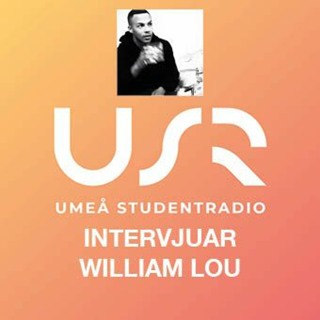 Intervju med William Lou på Brännbollsyran