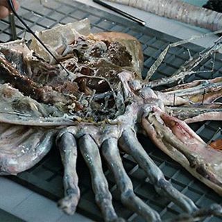 Episode 40: Dissecting ALIEN: Covenant