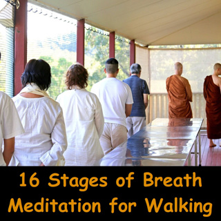 Walking Meditation: Apply 16 Stages of Breath Meditation to Walking Cankama | Ajahn Dhammasiha