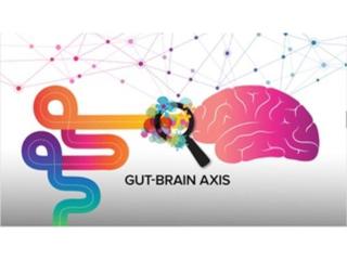 Inflammation and Parkinson's - Could Endotoxins be a Contributing Cause?