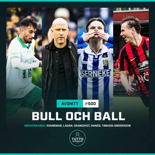 #500 Bull och ball