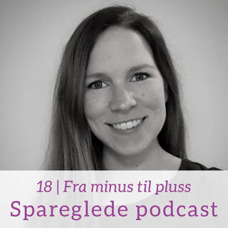 18 | Fra minus til pluss