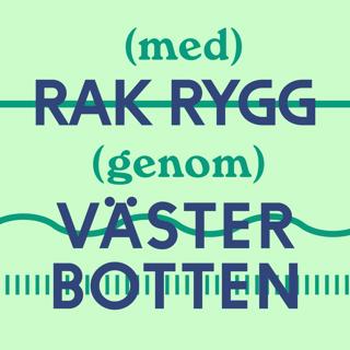 #67 Åseleparadoxen, är det brist på el eller rikedom på närhet?