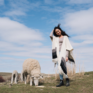 Episode 343 - High Desert Yarn with Jeanne Carver