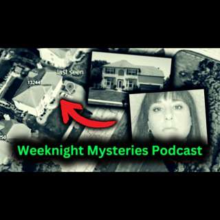 #12 The Vanishing of Lisa Stebic