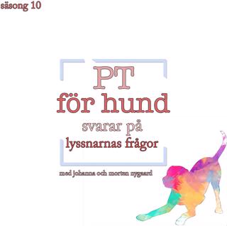 PT för hund svarar på lyssnarnas frågor