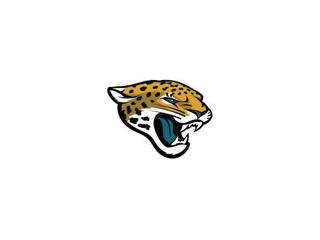 NFL SuperFan Series: 2014 Jacksonville Jaguars Preview
