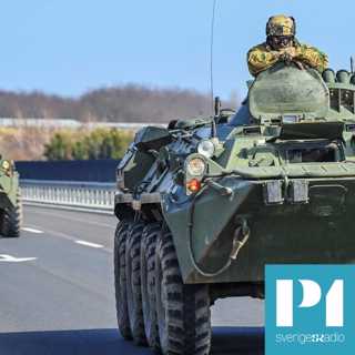 Putins invasion i Ukraina enar Nato